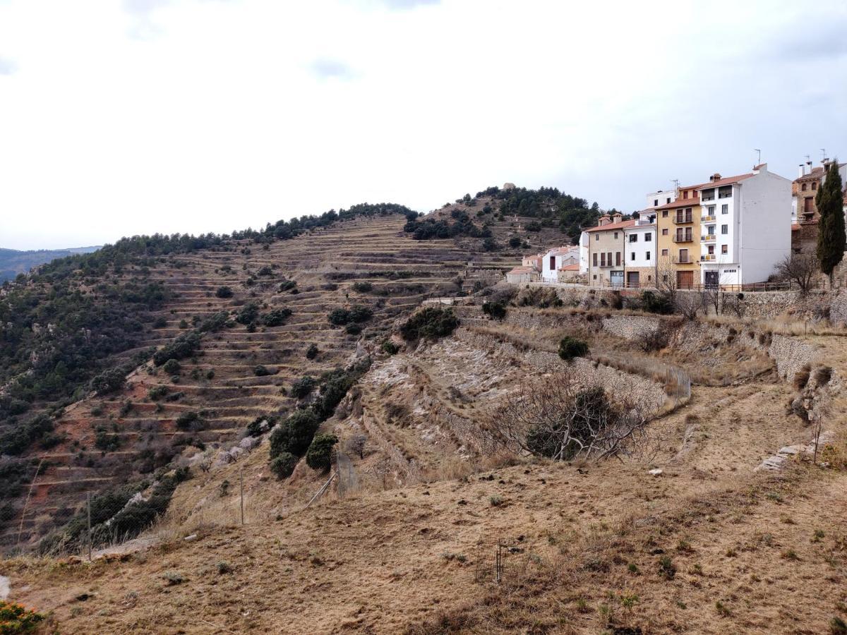 Rural El Vidre Vt-42035-cs
