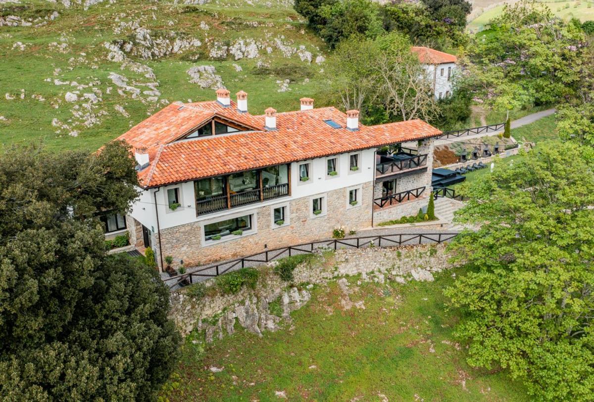 Picabel Onís