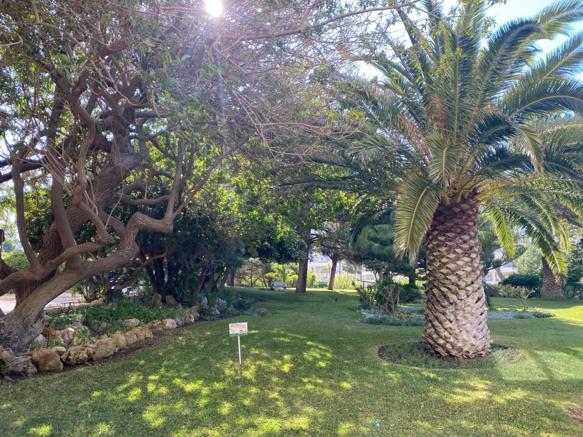 Apartamento Oh!marbella Mía *