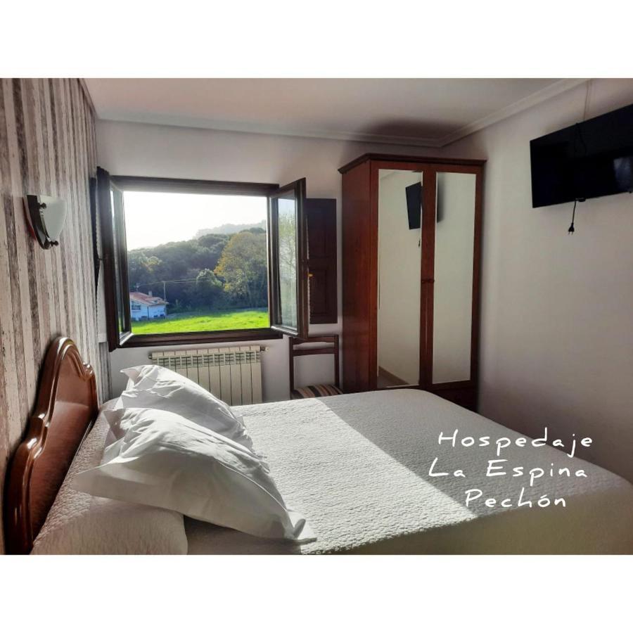 Hospedaje La Espina De Guest house Pechon