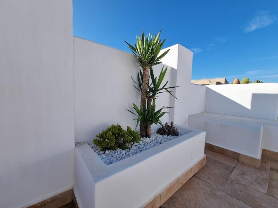 Casa Lina Del Mar Oliva