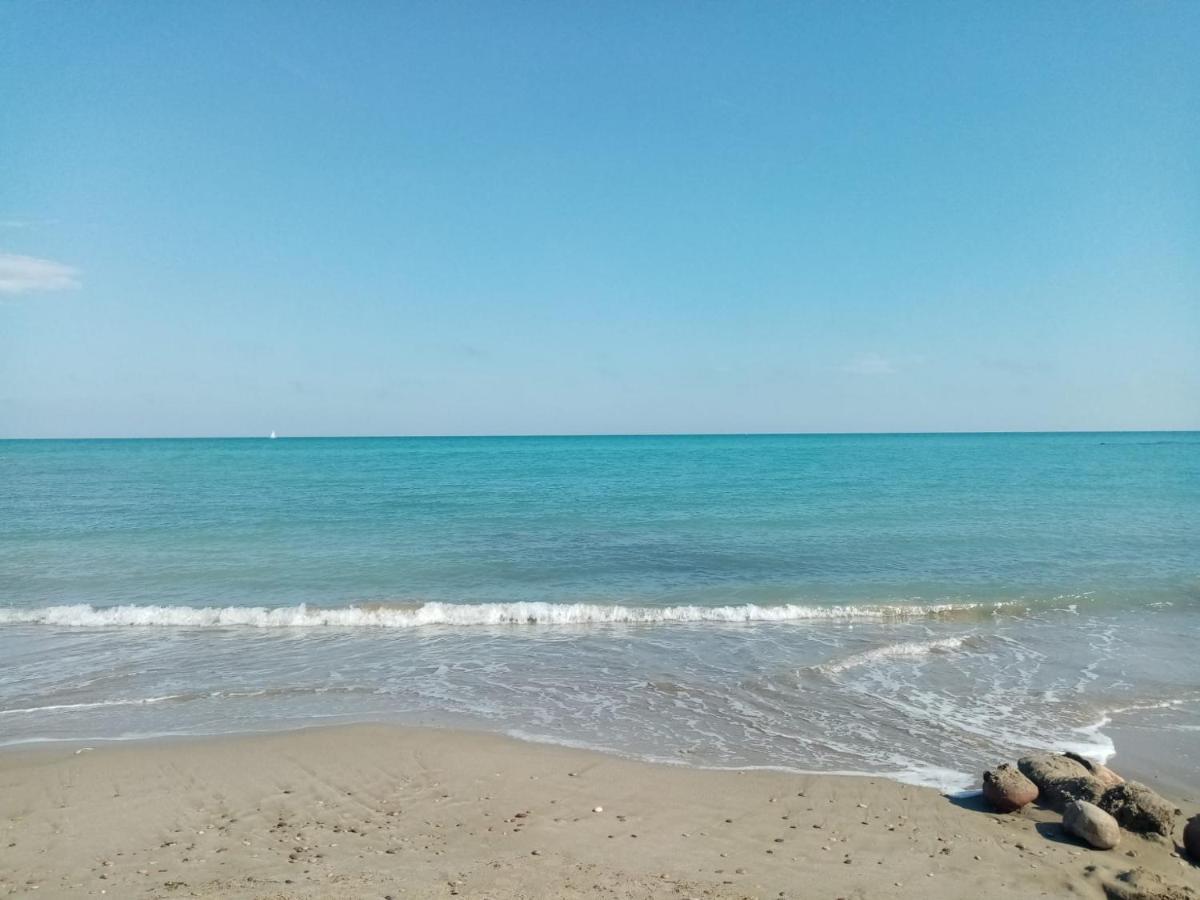 Paradise Moncofa *