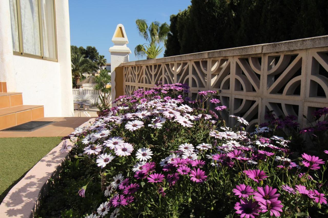 Nailencia Villa *