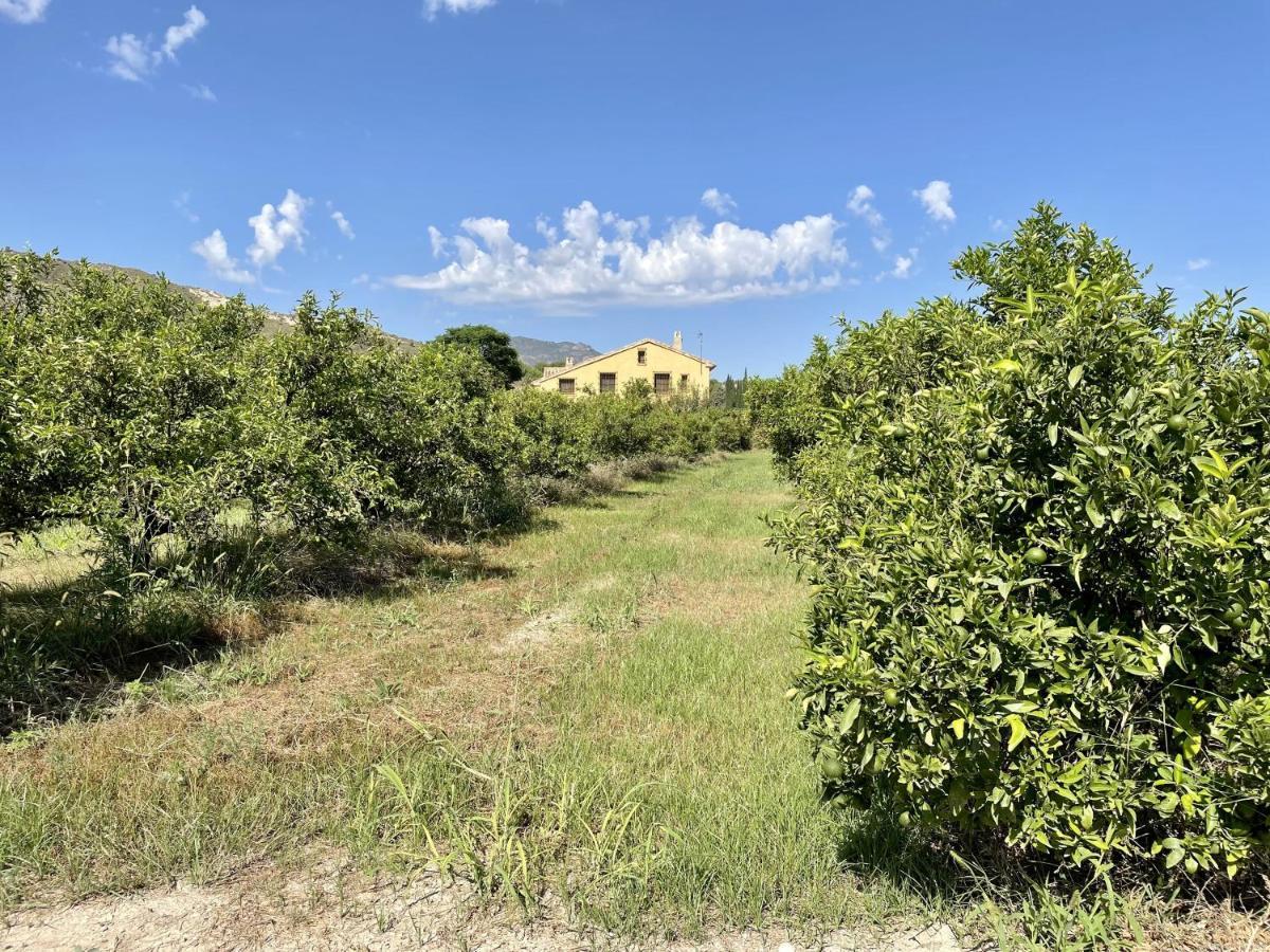 Casa Ramoncico. El Campillo