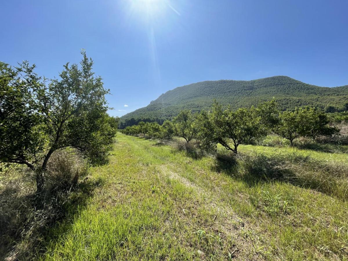 Casa Ramoncico. El Campillo Сasa de vacaciones Blanca