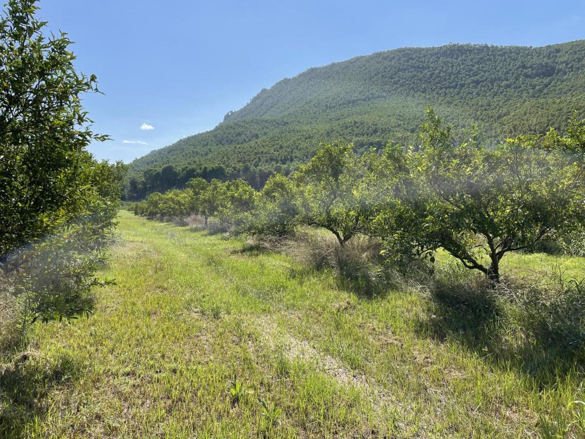 Сasa de vacaciones Casa Ramoncico. El Campillo Blanca