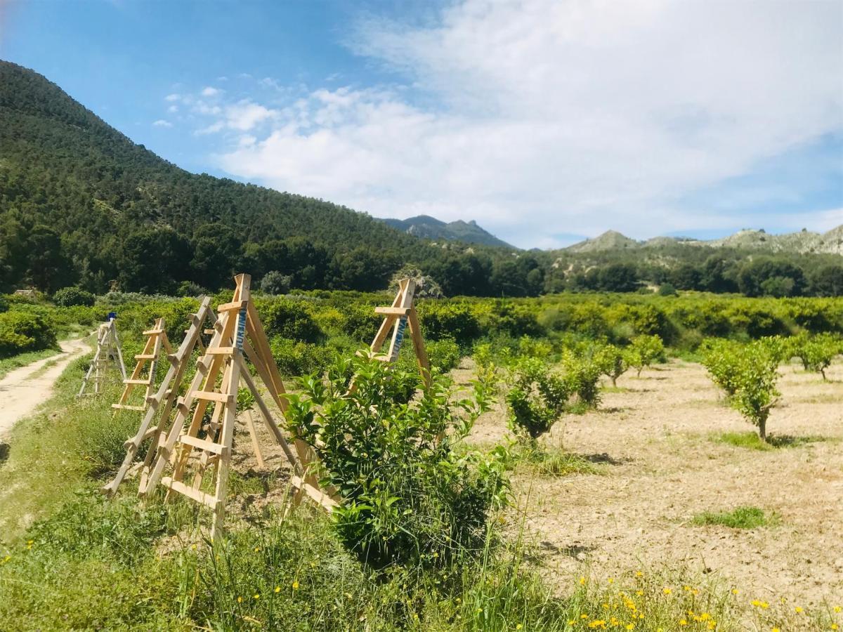 Сasa de vacaciones Casa Ramoncico. El Campillo Blanca