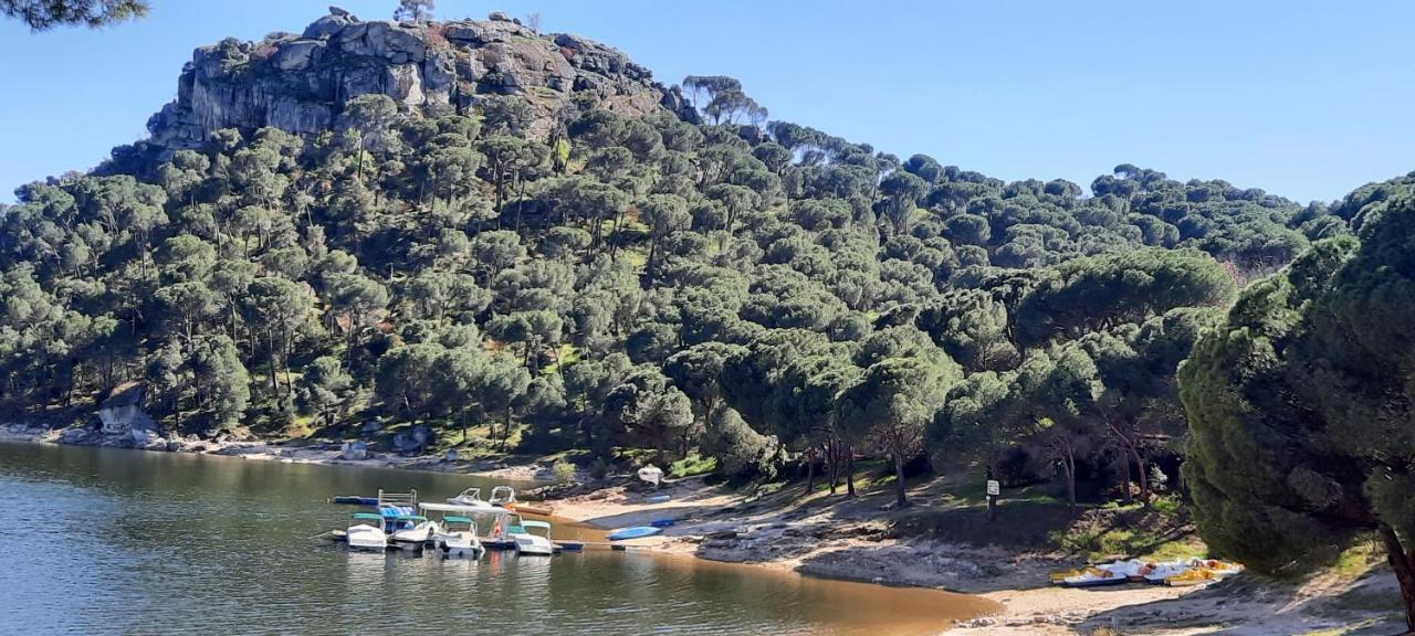 Naturaleza En El Pantano De San Juan *