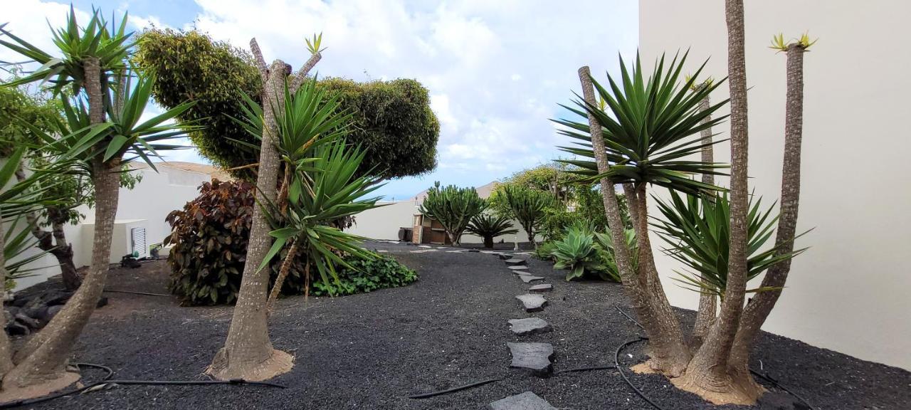 El Erizo Villa Nazaret