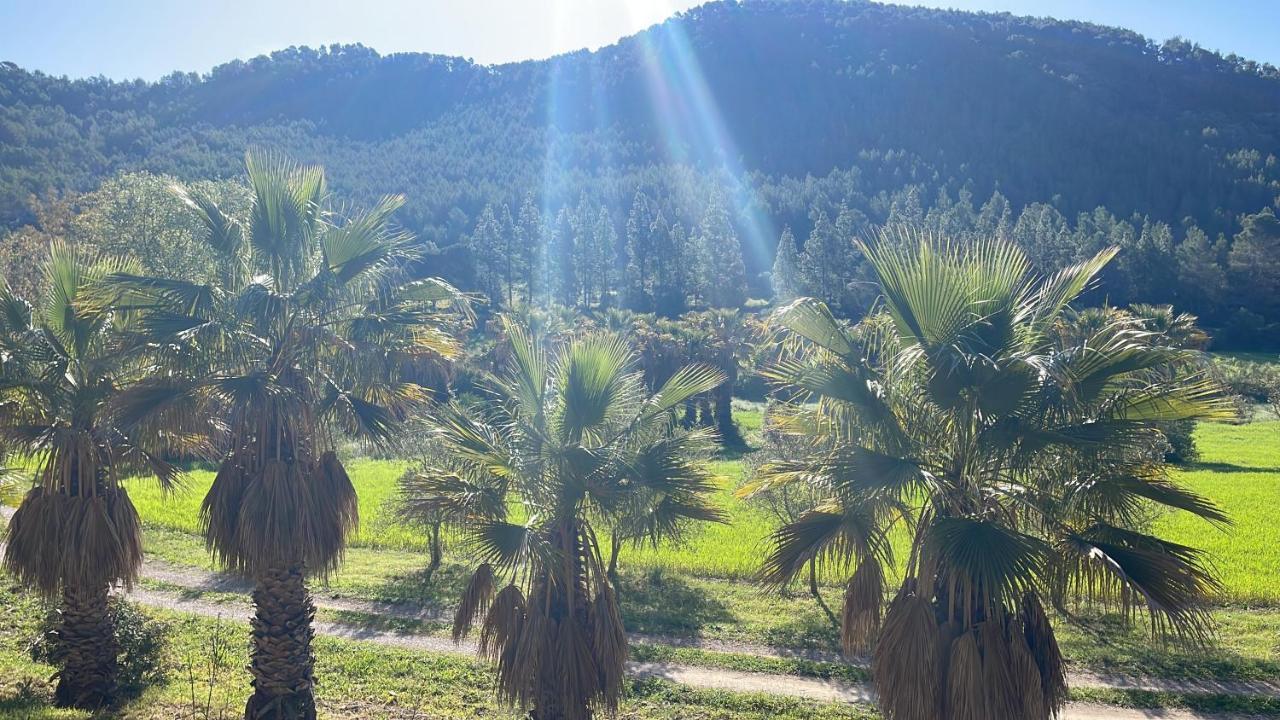 Son Pont Agroturismo *
