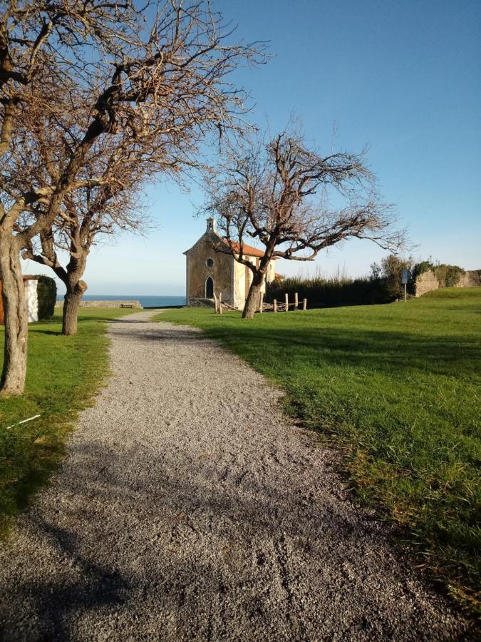 Bella Vist Ebi-1039