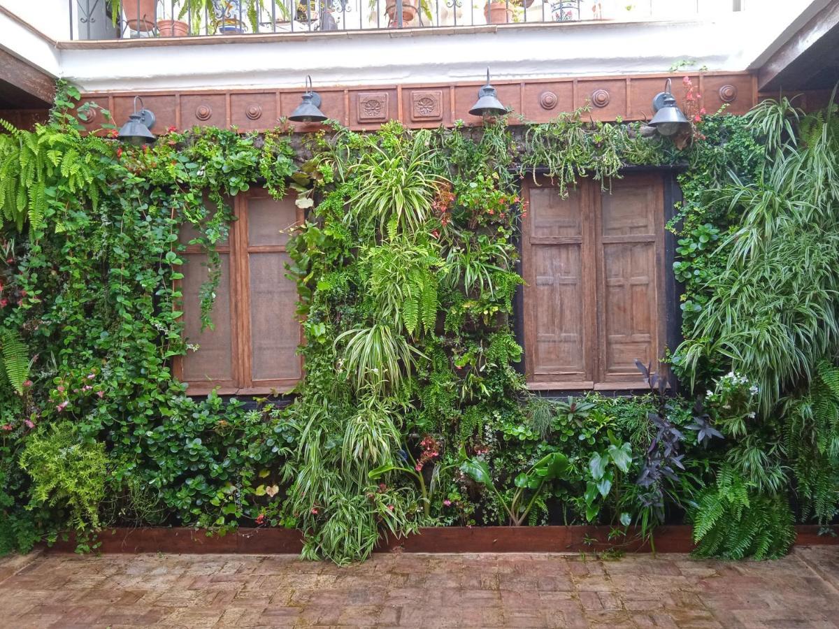 Curioso Apartamento Tipo Loft De 25 M Cuadrados *