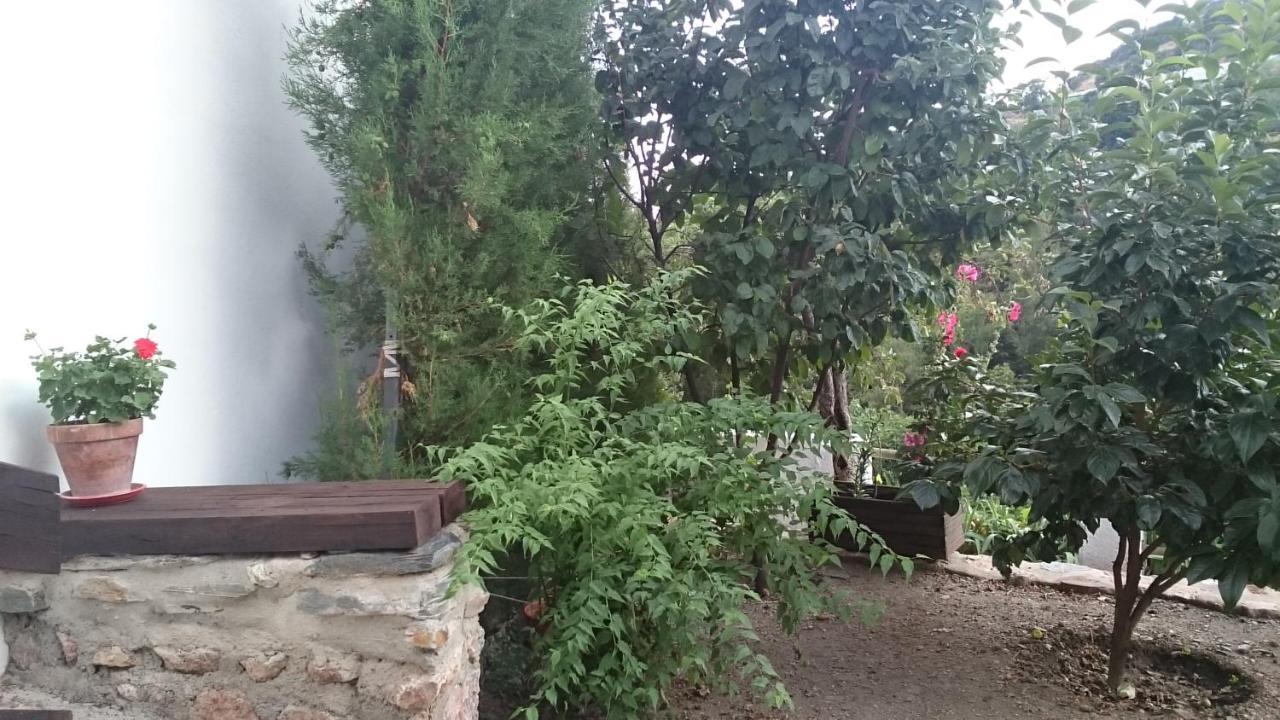 Casa-huerto La Juana Trevelez