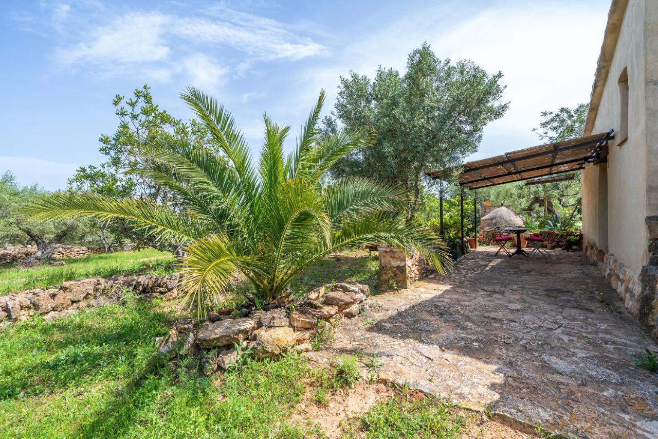 Casa En Olivera A 3 Km De La Costa El Perello (Catalonia)