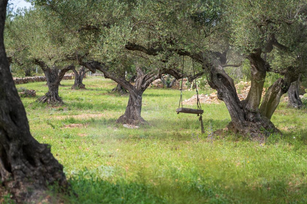 Casa En Olivera A 3 Km De La Costa Villa El Perello (Catalonia)