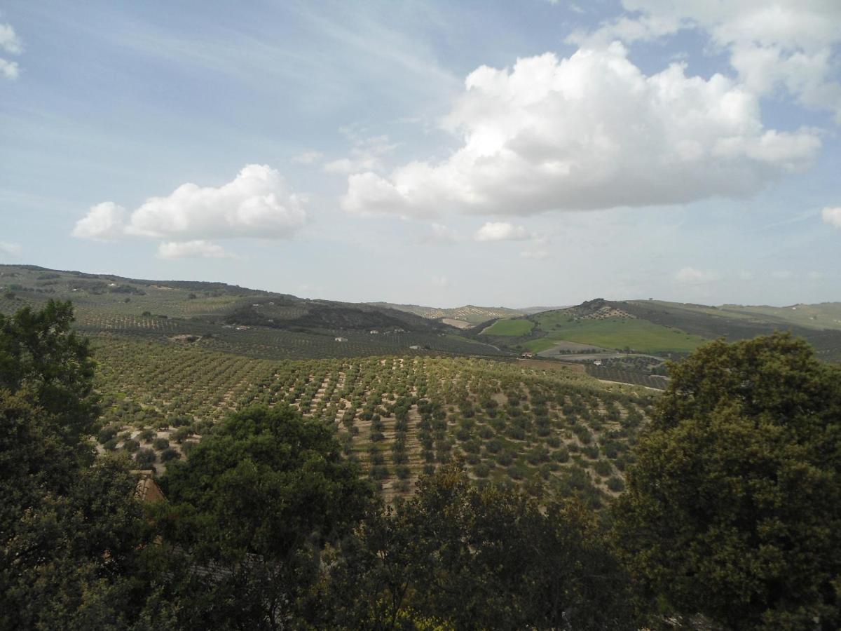 Casa Carmen, Holiday home
