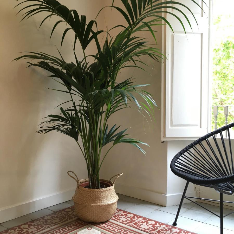 Apartamento L'antiga
