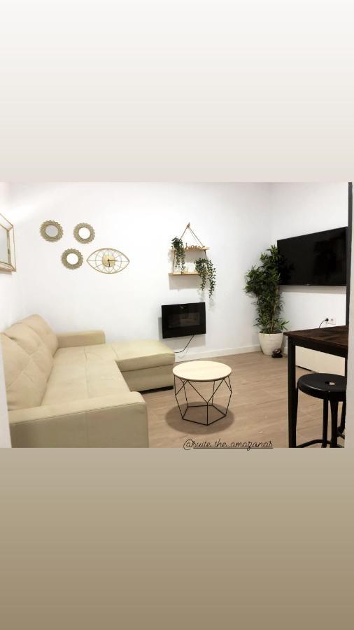 Suite palacios Jacuzzi Apartamento *