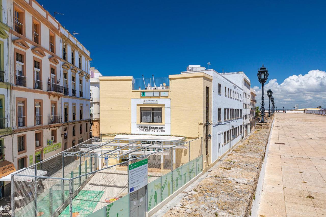Apartamento New Use Pz España 3 Izquierda Cádiz