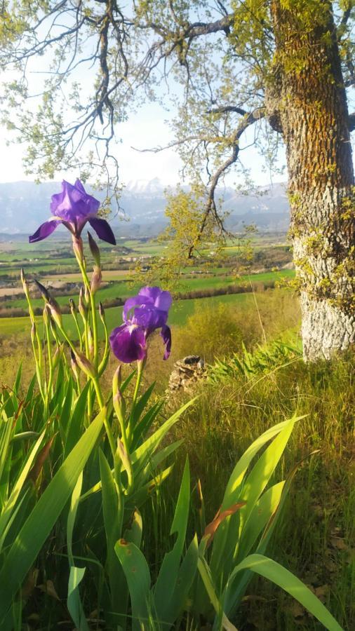 Tejedor Morillo de Monclus