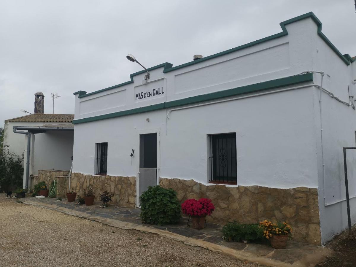 Masia D'en Gall Holiday home