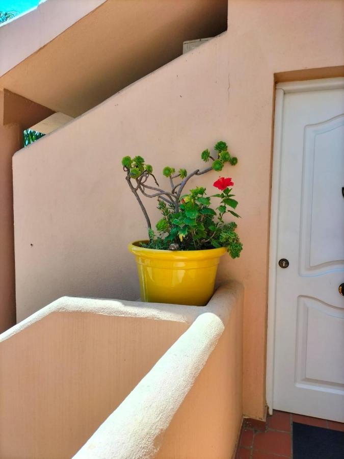 Apartment En Urbanizacion Al-andalus Cerca De La Playa De La Barrosa