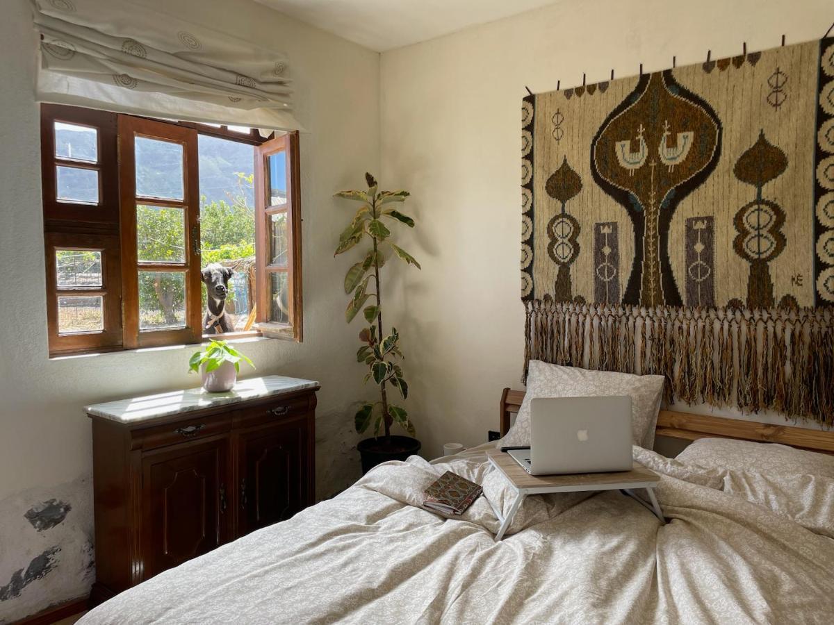 Finca La Costa #2 Farm stay Santa Cruz de Tenerife