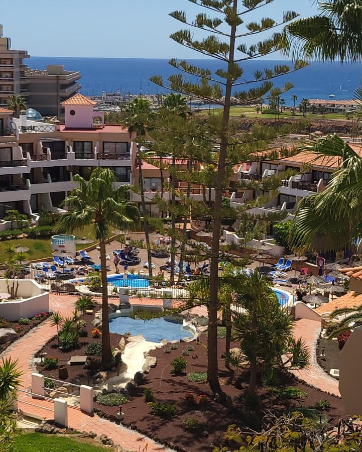Albatros Park Amarilla Golf Piscina Climatizada, Wifi Apartment