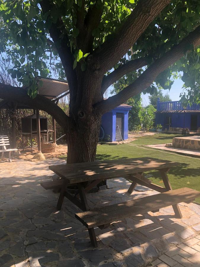 Casa De Campo Azul En *