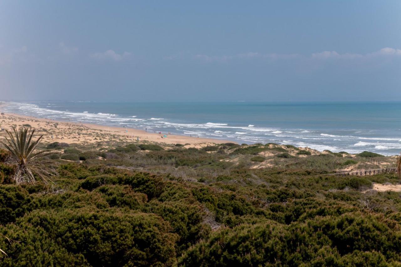 Amazing 50 M From The Apartment Torrevieja