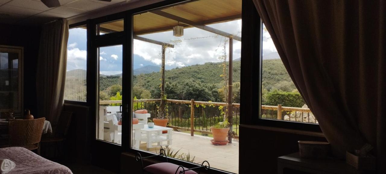 Casa rural Pajaros *