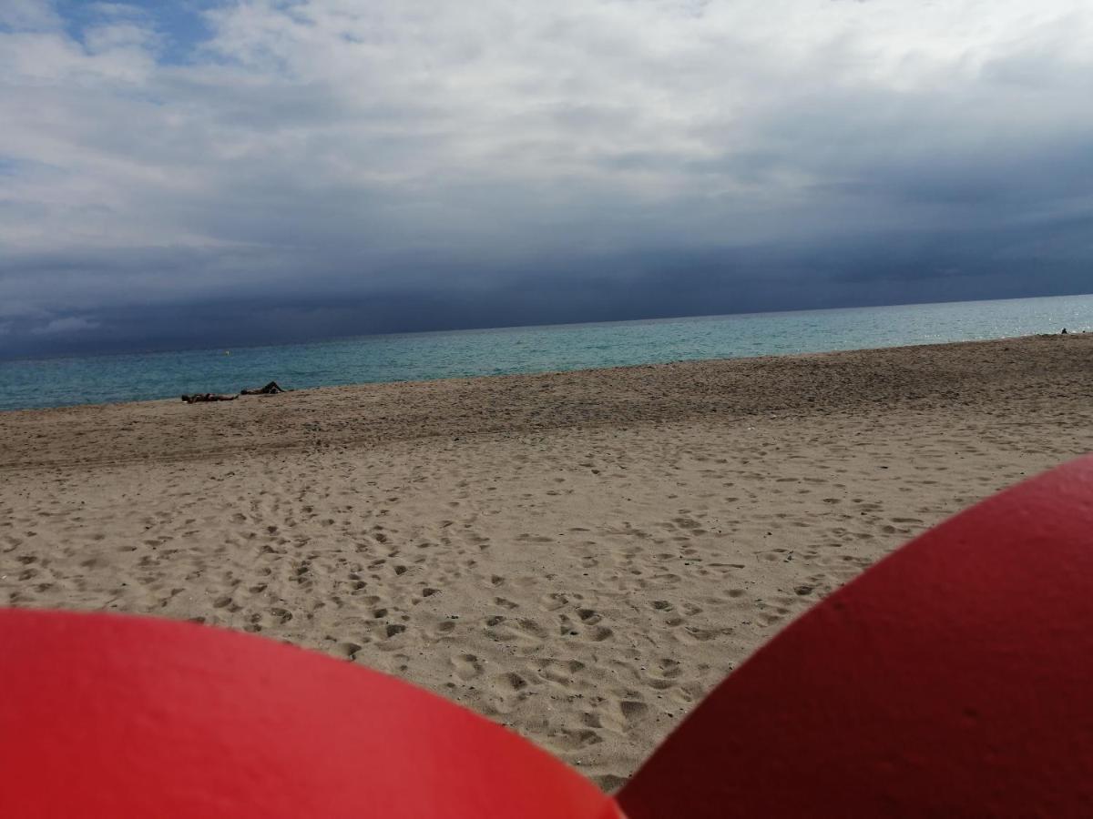 Mi Colibri-