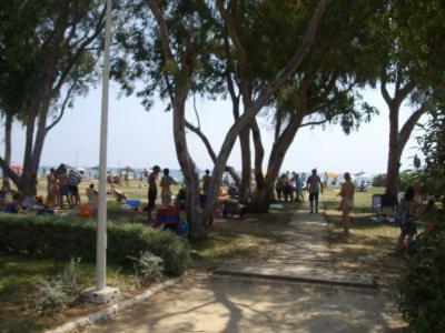Apartment 1ª Linea De Playa, Magic World,