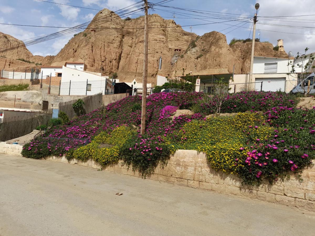Casa Cueva El Algarrobo Camping Guadix