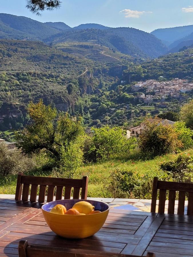 Bed and breakfast Cortijo El Pino *