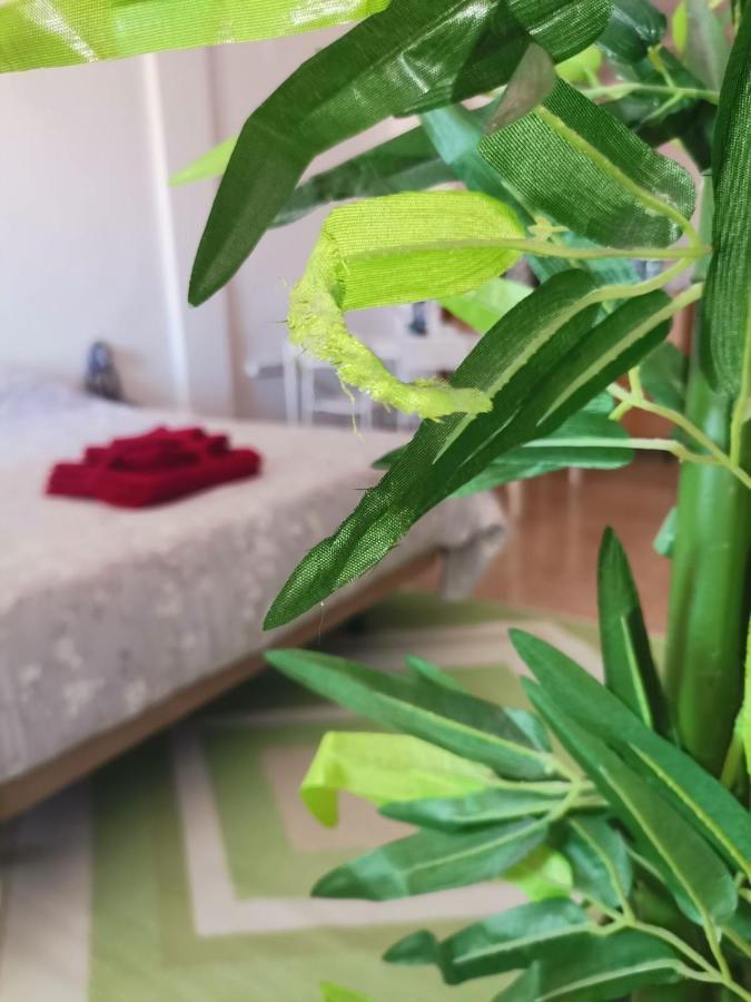 Apartament Puerto Habitación en casa particular Santa Pola
