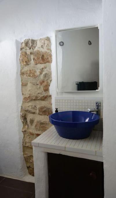 Olive Branch Guest house