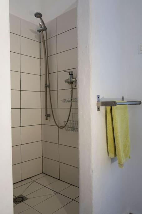 Olive Branch Guest house