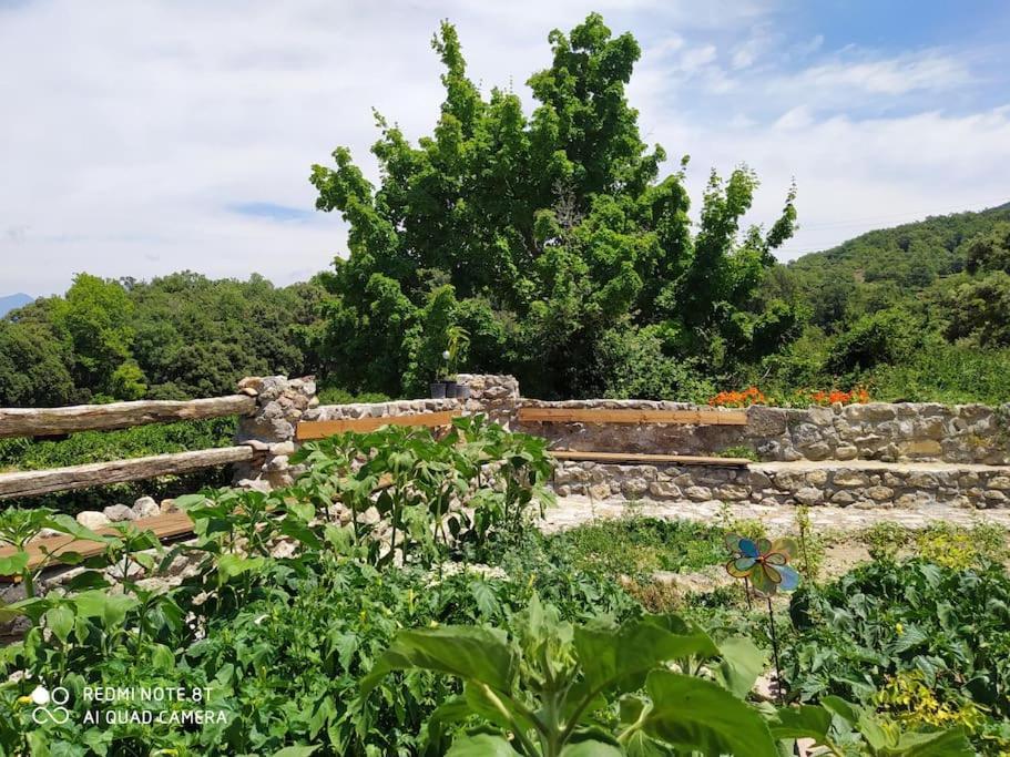 Bed & Breakfast Massia Gasset Senterada