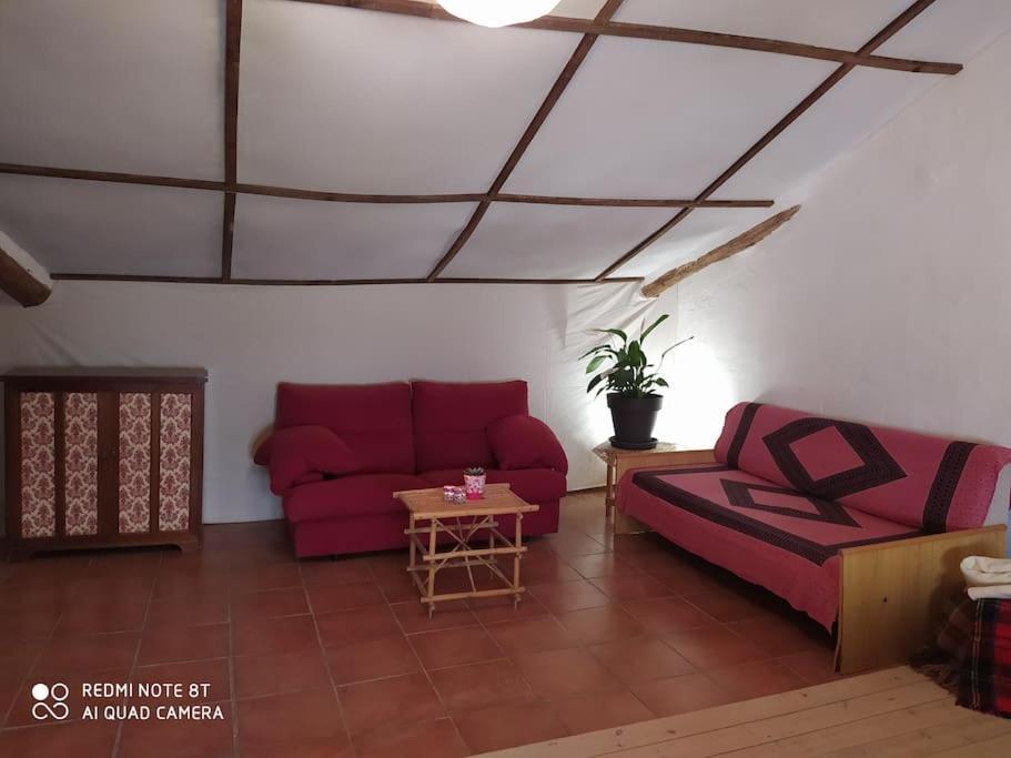 Bed & Breakfast Massia Gasset Senterada