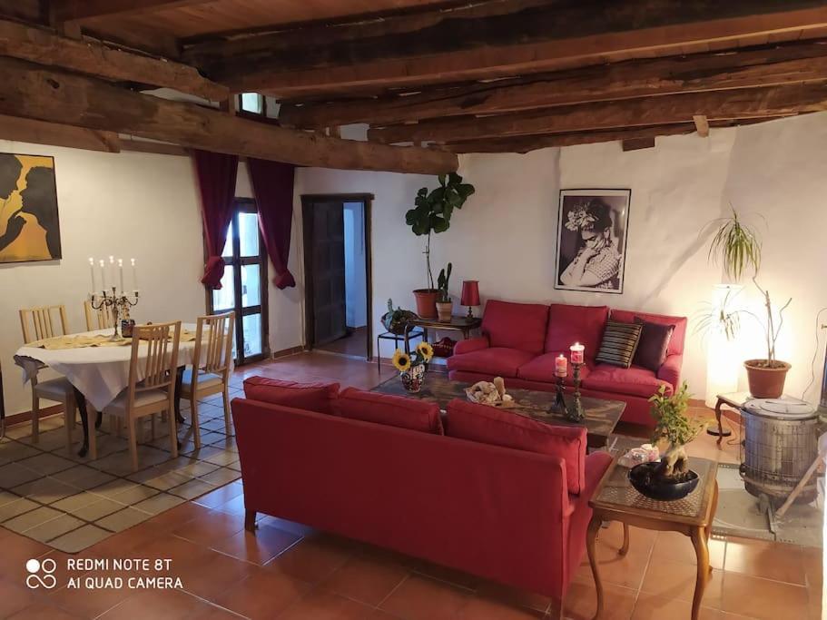 Bed & Breakfast Massia Gasset *