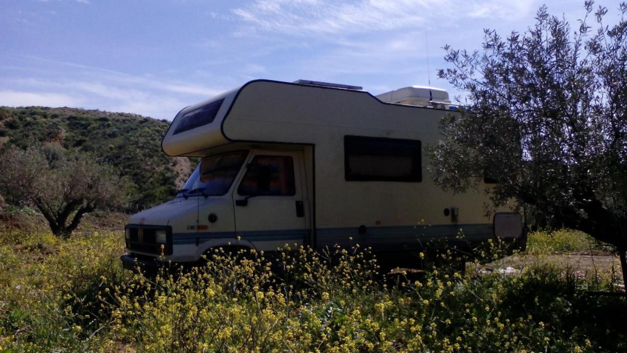 Camping Pachamama Ecocamping *