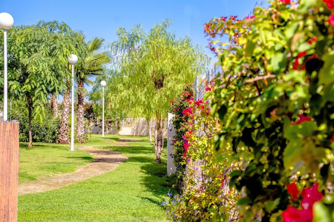 Apartment Playa Flamenca Olga *