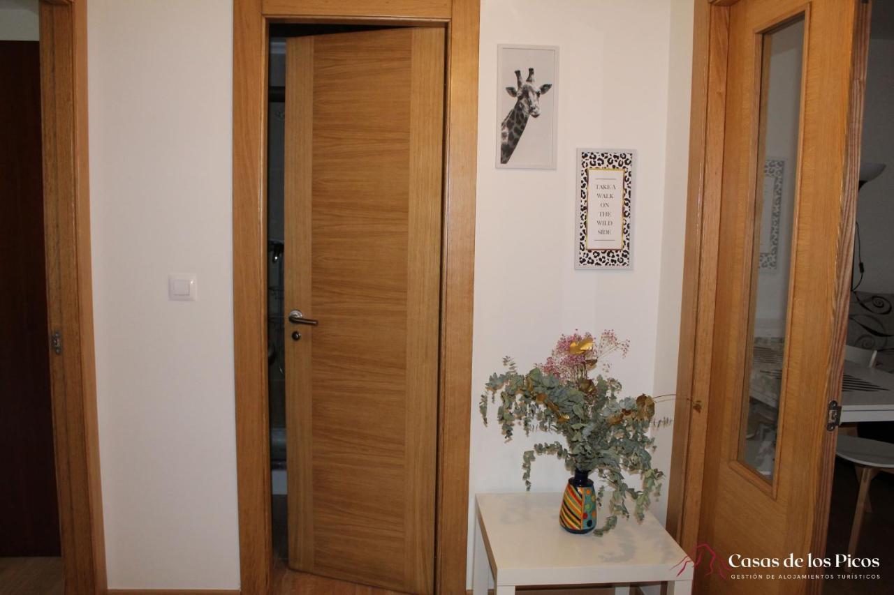 Apartamento Nansa - Casas De Picos *