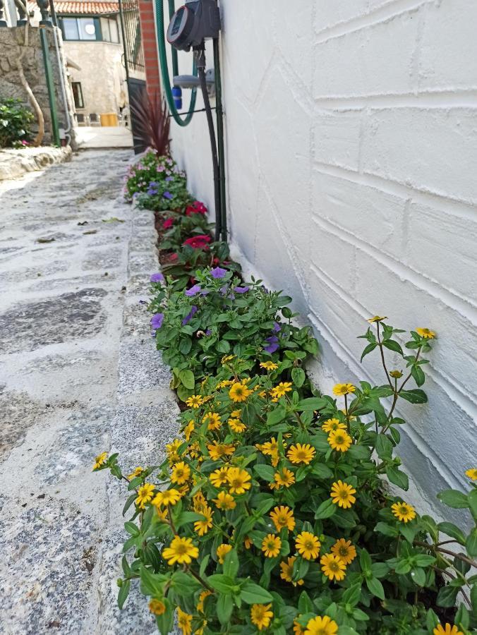 A Casina De Estela