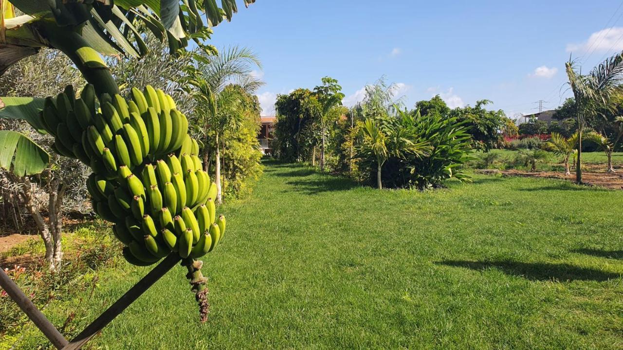 Country house La Suerte Grande Telde