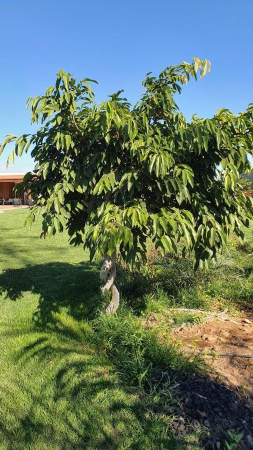 Country house La Suerte Grande Telde
