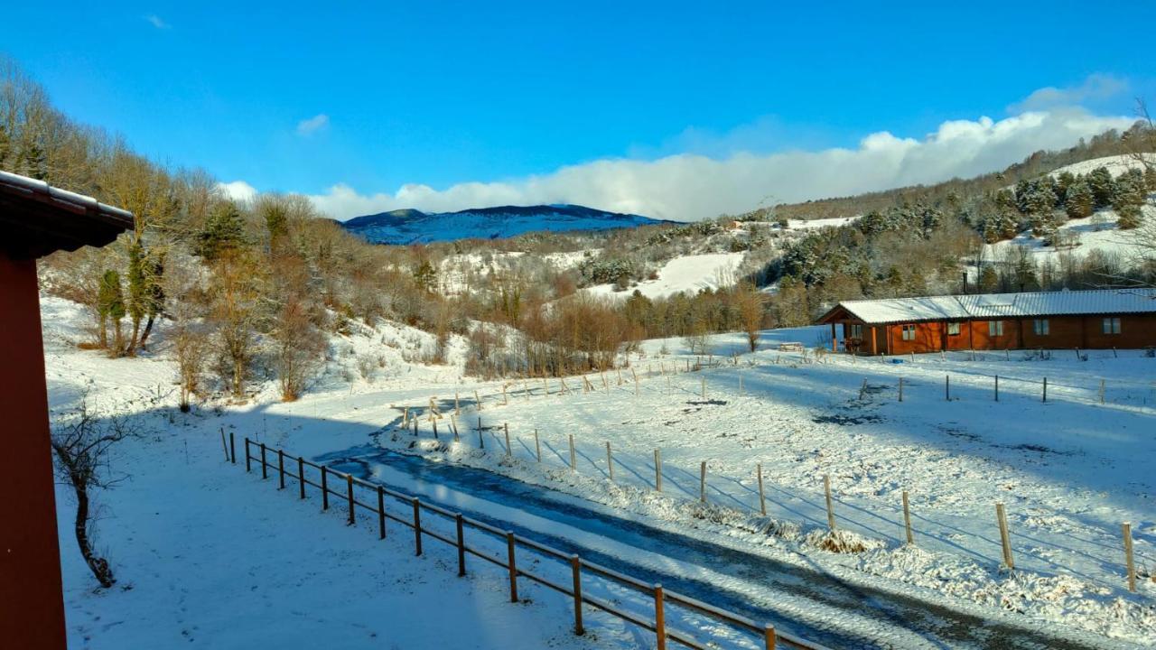 Apartment Cel I Fusta