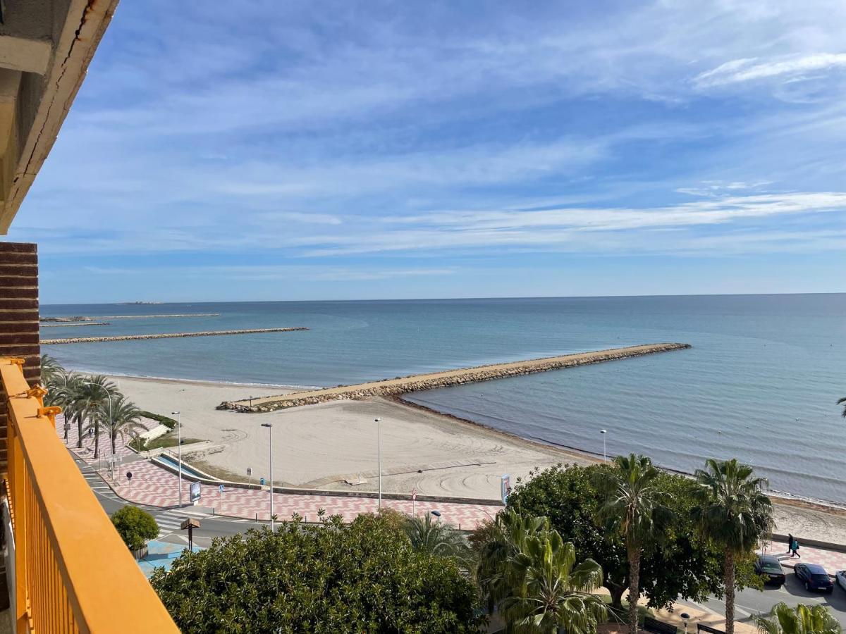 Sunflower First Line By The Sea * Santa Pola