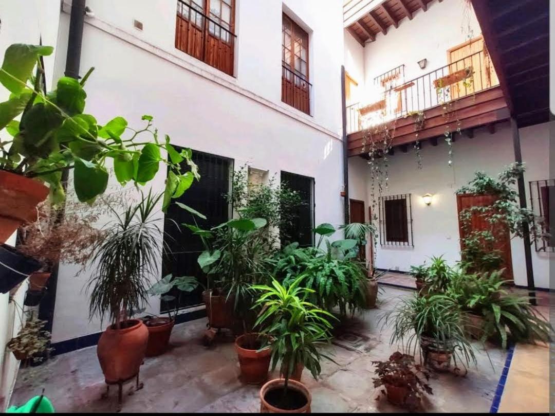 Coco Urban Apartamento Sevilla
